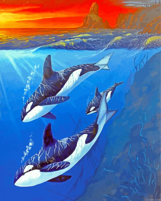 Killer Whale Underwater Painting By Numberss.png