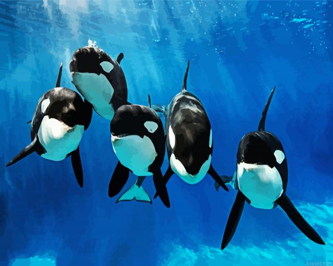 Killer Whales Underwater Painting By Numberss.png