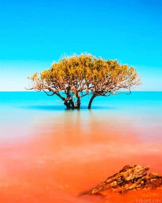 Kimberley Broome Australia New Painting By Numberss.png