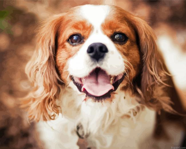 King Charles Cavalier Puppy Painting By Numberss.png