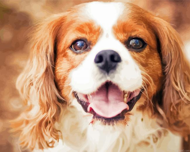King Charles Cavaliers Puppy Painting By Numberss.png