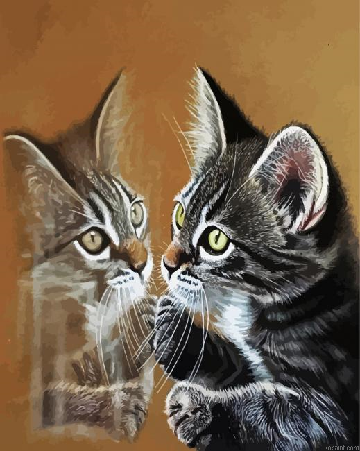 Kitten Reflection Paint By Numbers