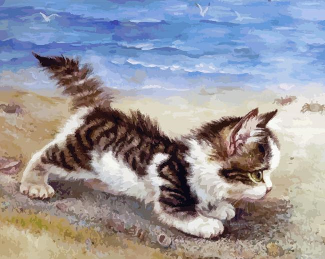 Kitty By Beach Paint By Numbers