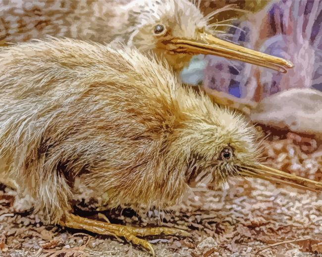 Kiwi Birds Painting By Numberss.png