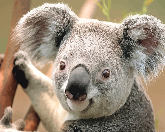 Koala New Painting By Numberss.png