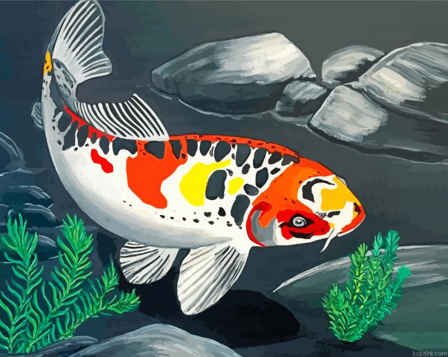 Koi Carp Fish Painting By Numberss.png