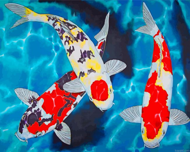 Koi Fish Underwater Painting By Numberss.png