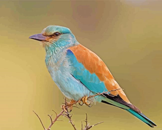 Kraska Bird Paint By Numbers
