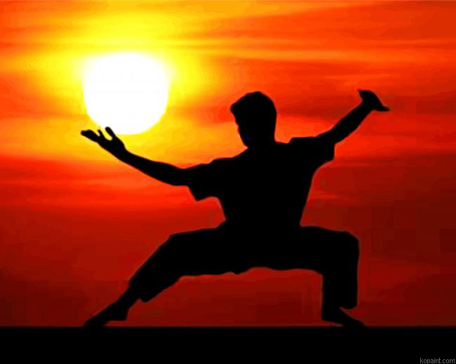 Kung Fu Man Silhouette Painting By Numberss.png