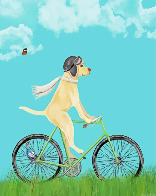Labrador On Bike Painting By Numberss.png