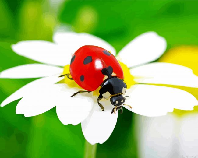 Ladybeetle White Flower Painting By Numberss.png