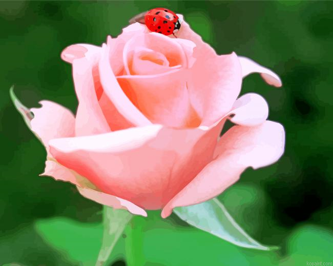 Ladybug On A Rose Painting By Numberss.png