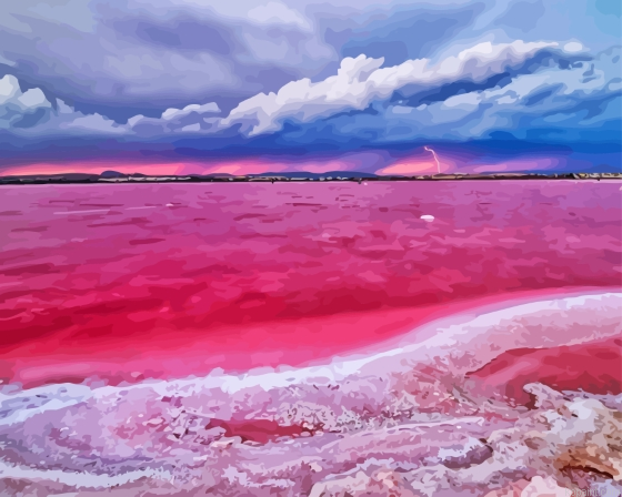 Laguna Salada Pink Lake In Spain Painting By Numberss.png