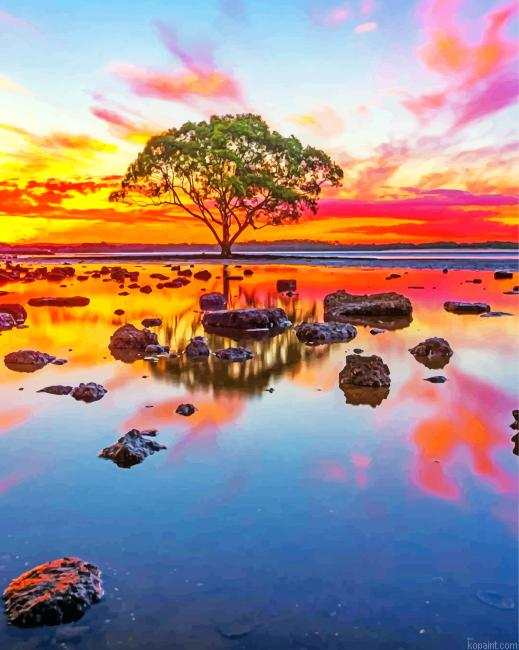Lake Tree At Sunset Painting By Numberss.png