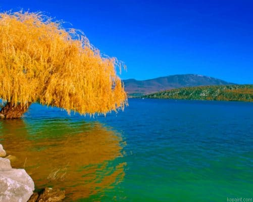 Lake Willow Yellow Tree Painting By Numberss.png