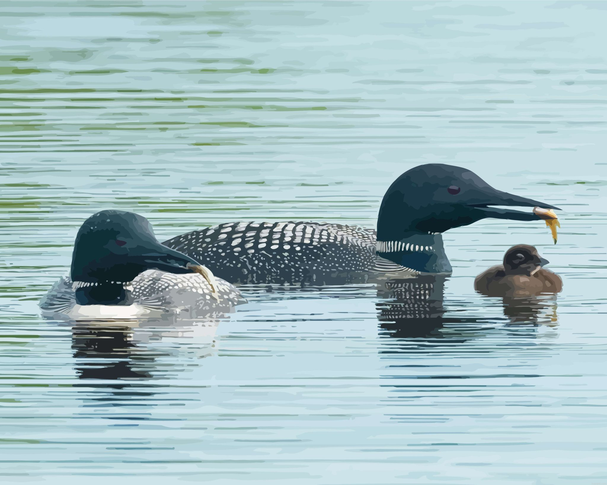 Lake With Loons Family Painting By Numberss.png