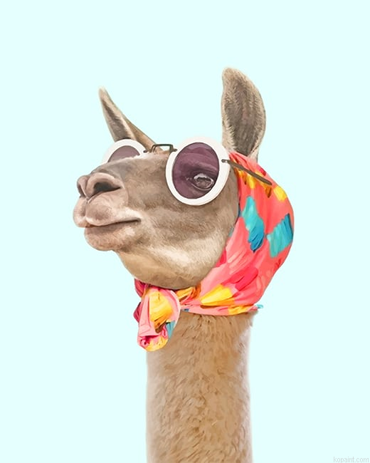 Lama Fashion New Painting By Numberss.png