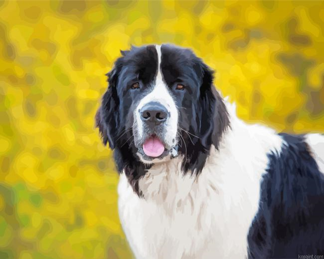Landseer Dog Animal Painting By Numberss.png