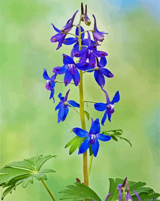 Larkspur Flowering Plant Painting By Numberss.png