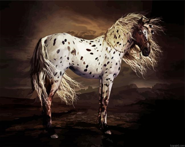 Leopard Appaloosa Horse Painting By Numberss.png