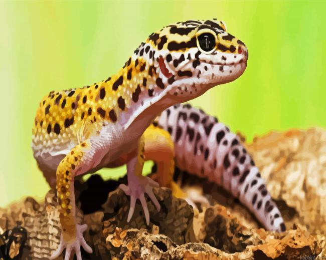 Leopard Gecko Lizard Painting By Numberss.png