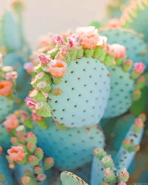 Light Green Cactus New Painting By Numberss.png
