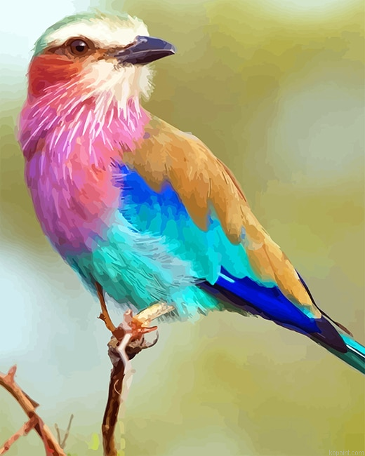 Lilac Breasted Roller New Painting By Numberss.png