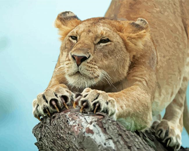 Lion Claws Painting By Numberss.png