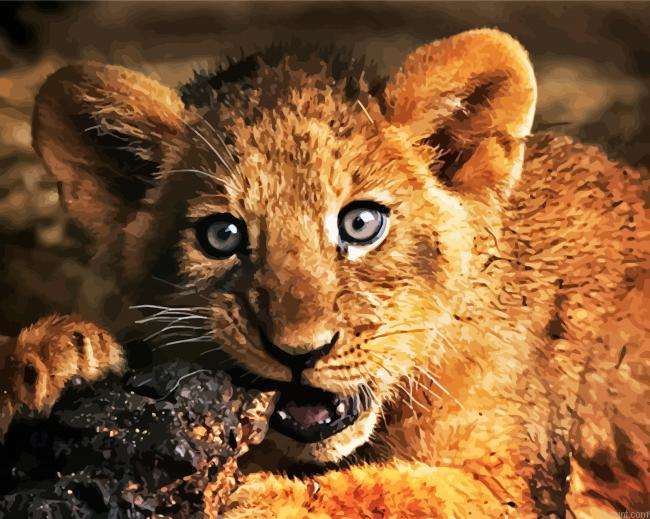Lion Cub Paint By Numbers