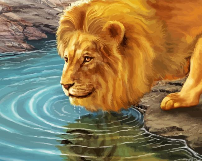 Lion Drinking Painting By Numberss.png