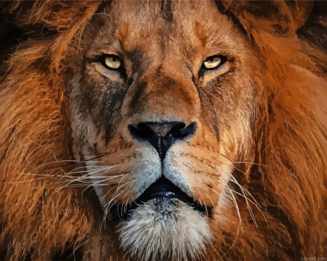 Lion Of Judah Painting By Numberss.png