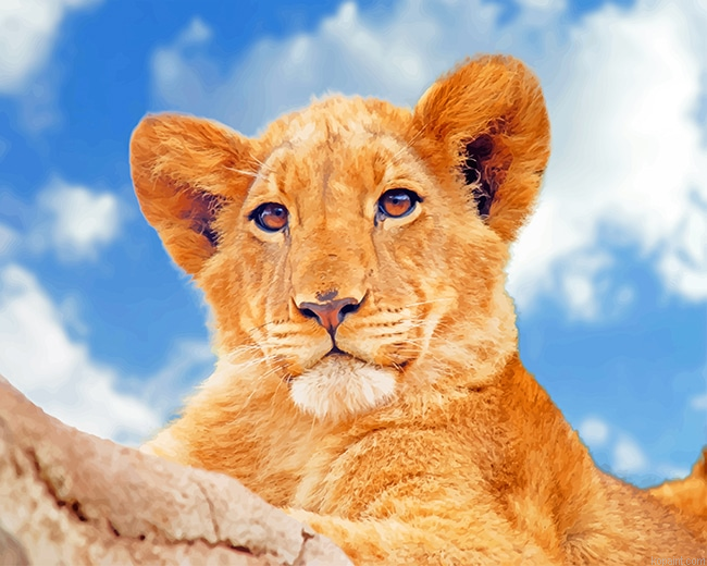 Lioness Under Blue Sky New Painting By Numberss.png