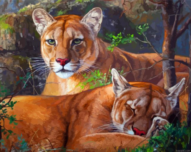 Lions Animals Painting By Numberss.png