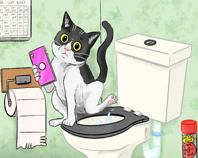 Little Cat In The Bathroom Paint By Numbers