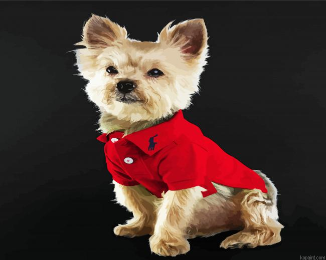 Little Cute Yorkie Dog Painting By Numberss.png