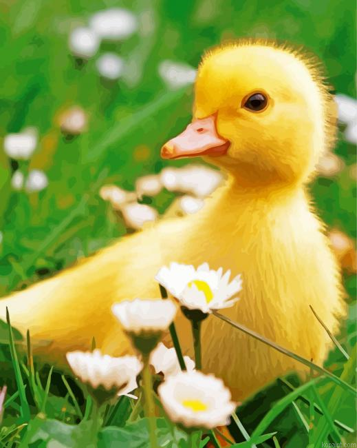 Little Duck And Flowers Painting By Numberss.png