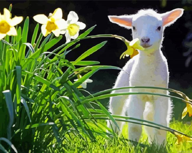 Little Goat With Flowers Painting By Numberss.png