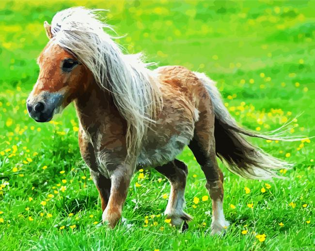 Little Pony Painting By Numberss.png