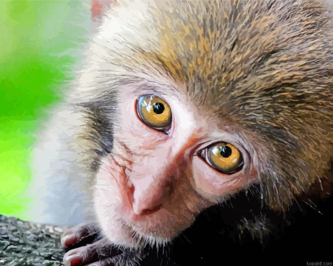 Little Primate Painting By Numberss.png