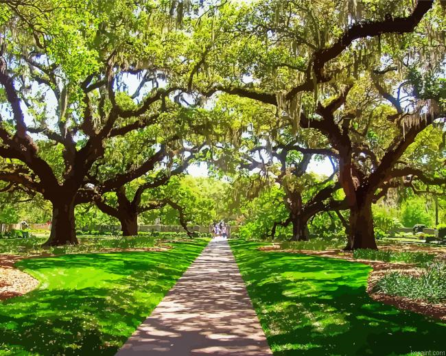 Live Oak Trees Paint By Numbers