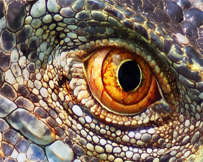 Lizard Eye Paint By Numbers.png