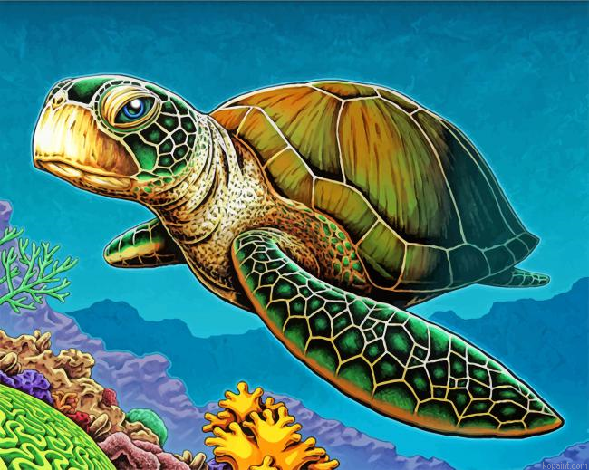 Loggerhead Sea Turtle Paint By Numbers