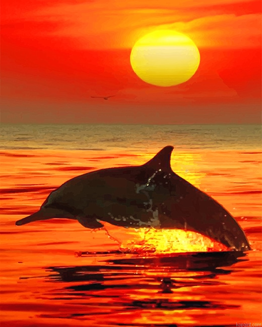 Lonely Dolphin Sunset New Painting By Numberss.png