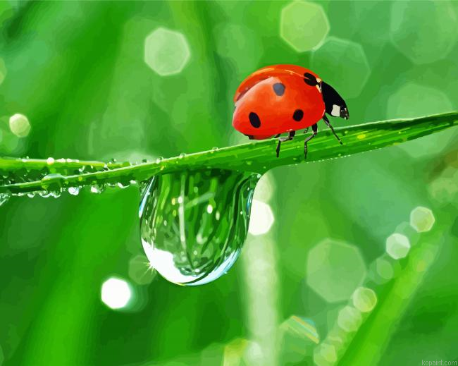 Lonely Ladybeetle Painting By Numberss.png