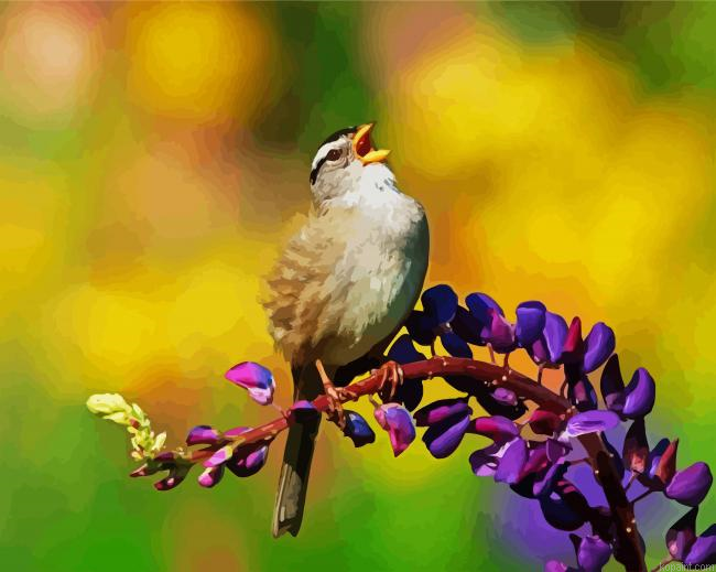 Lonely Sparrow Paint By Numbers.png