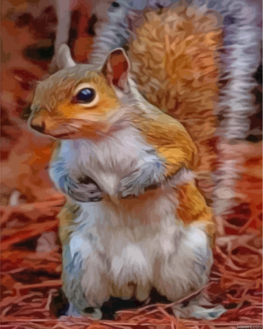 Lonely Squirrel Painting By Numberss.png