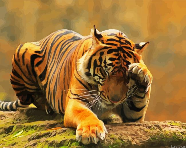Lonely Tiger Animal Painting By Numberss.png