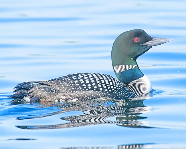 Loon Bird New Painting By Numberss.png