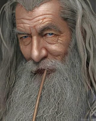 Lord Of The Rings Gandalf Painting By Numberss.png