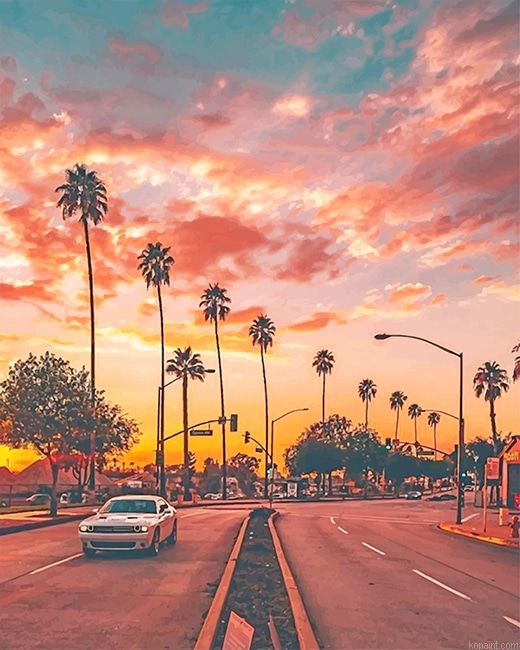 Los Angeles Palm Tree Sunset New Painting By Numberss.png